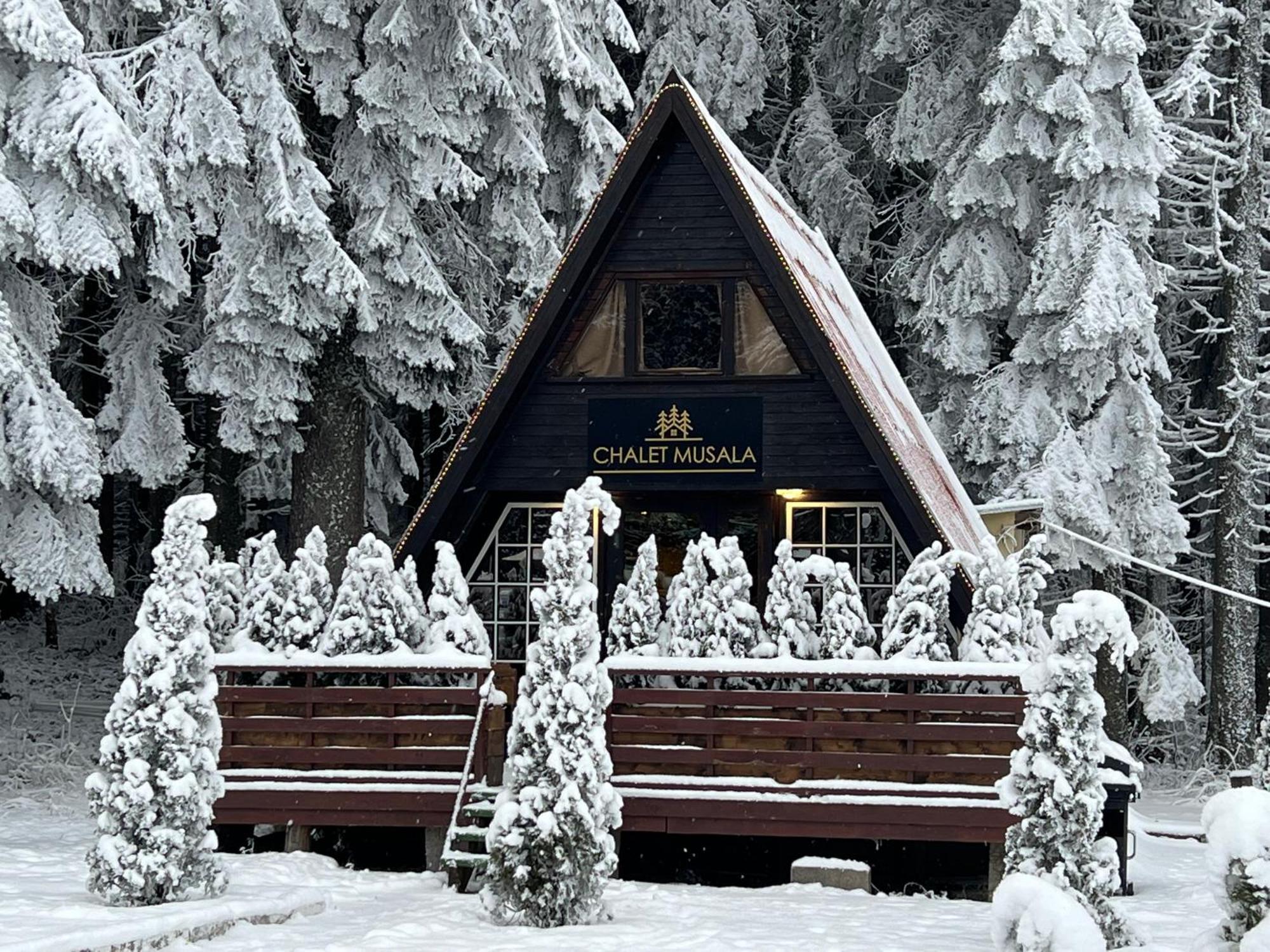 Villas Mura With Spa & Hot Swimming Pool Borovets Ngoại thất bức ảnh